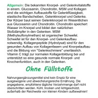 Knorpel & Gelenke Komplex + Vitamin-C 180 ArthroWell Gelenk-Kapseln