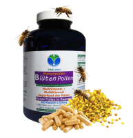 Blütenpollen - ganze Bienenpollen 360 Kapseln