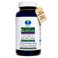 Goldrute Goldrutekraut & Blüten Echte Solidago 360 Pulver Kapseln Nieren Blase Harnwege. OHNE Zusatzstoffe.