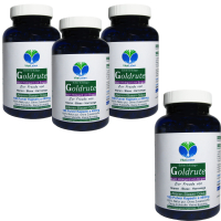 Echte Goldrute Solidago 720 Kräuter Kapseln nach Hildegard von Bingen