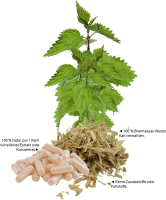 Brennnessel Wurzel Stinging Nettle Root 720 Pulver Kapseln Natur Pur