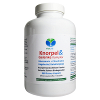 Knorpel & Gelenk Komplex 360 Pulver Kapseln