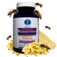 BLÜTENPOLLEN Bienenpollen 120 Pulver Kapseln reine Bee Pollen von Bienen - Beste Imkerpollen, Imkerqualität. Kalt vermahlen. 100% NATUR pur. OHNE ZUSATZSTOFFE.