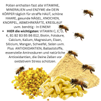 BLÜTENPOLLEN Bienenpollen 120 Pulver Kapseln SUPERFOOD - OHNE ZUSATZSTOFFE - natürliche Vitamine, Mineralien & Antioxidantien. Beste Imkerpollen, Imkerqualität. Kalt vermahlen. 100% NATUR pur.