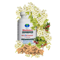 WEISSDORN Weißdorn 180 Kapseln - HERZKRAUT HERZ & KREISLAUF in SCHWUNG [BLÄTTER + BLÜTEN + BEEREN] NATUR pur NICHT Hochdosiert [OHNE Zusatzstoffe].