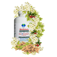 WEISSDORN Weißdorn 360 Kapseln - HERZKRAUT HERZ & KREISLAUF in SCHWUNG - BLÄTTER + BLÜTEN + BEEREN - NATUR pur NICHT Hochdosiert [OHNE Zusatzstoffe].