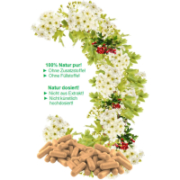 WEISSDORN Weißdorn 720 Kapseln - HERZKRAUT HERZ & KREISLAUF in SCHWUNG [BLÄTTER + BLÜTEN + BEEREN] NATUR pur NICHT Hochdosiert [OHNE Zusatzstoffe].