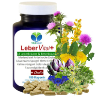 LEBER Vital Komplex 12 Kräuter & Bitterstoffe 180 Kapseln + CHOLIN für normale LEBERFUNKTIONEN & FETTSTOFFWECHSEL - OHNE ZUSATZSTOFFE.