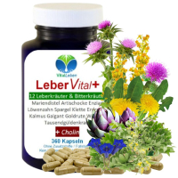 LEBER Vital Komplex 12 Kräuter & Bitterstoffe 360 Kapseln + CHOLIN für normale LEBERFUNKTIONEN & FETTSTOFFWECHSEL - OHNE ZUSATZSTOFFE.