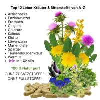 12 ausgewählte Kräuter & Bitterstoffe. Harmonisch abgestimmt mit Mariendistel, Artischocke, Löwenzahn, Enzian, Spargel, Klette, Erdrauch, Kalmus, Galgant, Goldrute, Wermut und Tausendgüldenkraut + CHOLIN.