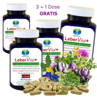 LEBER Vital Komplex 12 Kräuter & Bitterstoffe 720 Kapseln + CHOLIN für normale LEBERFUNKTIONEN & FETTSTOFFWECHSEL - OHNE ZUSATZSTOFFE.