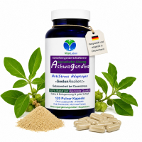Ashwagandha Naturwurzel Withania somnifera 120 Pulver Kapseln. AYURVEDA-ADAPTOGEN. Natur pur. OHNE Zusatzstoffe.