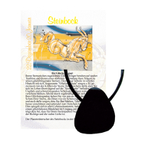 Onyx Glücksmagnet Anhänger gebohrt Steinbock