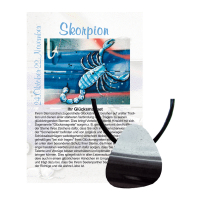 Hämatit Glücksmagnet Anhänger gebohrt Skorpion