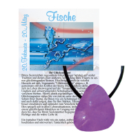 Amethyst Glücksmagnet Anhänger gebohrt Fische
