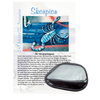 Hämatit Glücksmagnet ca. 2-4cm Skorpion