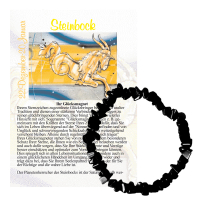 Onyx Monatsstein Splitter Armband Steinbock