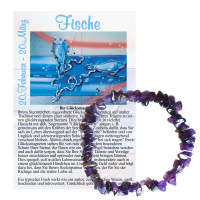 Amethyst Monatsstein Splitter Armband Fische