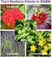 Resilienz & Selbstbewusstsein stärken 120 Kräuter Kapseln