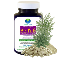 Beifuss 360 Pulver KAPSELN ECHTER Beifuß FLAVONOIDE & BITTERSTOFFE Artemisia 100% Natur pur. Ohne ZUSATZSTOFFE.