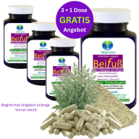 Beifuss 720 (4x180) Pulver KAPSELN ECHTER Beifuß FLAVONOIDE & BITTERSTOFFE Artemisia 100% Natur pur. Ohne ZUSATZSTOFFE. 3+1 Dose GRATIS.