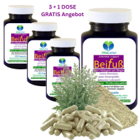 Beifuss 720 (4x180) Pulver KAPSELN ECHTER Beifuß FLAVONOIDE & BITTERSTOFFE Artemisia 100% Natur pur. Ohne ZUSATZSTOFFE. 3+1 Dose GRATIS.