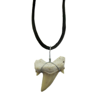 Fossiler Haizahn Anhänger ca. 2-4cm inkl. Band