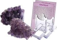 AMETHYST Edelstein Schmuckstein Chakrastein (7.Chakra) Wassersteine für Edelsteinwasser 2x Kristall Stücke ca. 6-7cm
