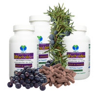 WACHOLDERBEEREN 480 (4x120) Kapseln Wacholder Verdauungskapseln VERDAUUNG Blähungen VÖLLEGEFÜHLE Sodbrennen NIEREN Harnwege. 100% NATUR pur