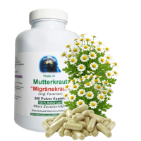 MUTTERKRAUT 360 Kapseln Migränekraut nach HILDEGARD VON BINGEN bei Kopfgewitter NATURDOSIERT = 100% NATUR pur. OHNE ZUSATZSTOFFE.