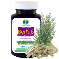 Beifuss 120 Pulver KAPSELN ECHTER Beifuß FLAVONOIDE & BITTERSTOFFE Artemisia 100% Natur pur. Ohne ZUSATZSTOFFE.