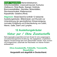 BODY Clean Out 12 Kräuter + Bitterstoffe NATUR pur 360 Kapseln