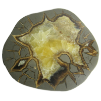 Septarien Scheibe L ca. 10-11cm A-Qualität aus Utah/USA mit Ständer, Stoffsäckchen & Zertifikat