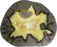 Septarien Scheibe L ca. 11-12cm A-Qualität aus Utah/USA mit Ständer, Stoffsäckchen & Zertifikat