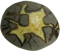 Septarien Scheibe L ca. 12-13cm A-Qualität aus Utah/USA mit Ständer, Stoffsäckchen & Zertifikat