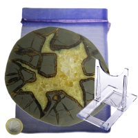 Septarien Scheibe L ca. 12-13cm A-Qualität aus Utah/USA mit Ständer, Stoffsäckchen & Zertifikat