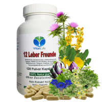 LEBER vital Komplex 120 KAPSELN 12 Leberfreunde Leberkräuter Bitterkräuter Bitterstoffe MARIENDISTEL ARTISCHOCKE LÖWENZAHN WERMUT ENZIAN...100% NATUR pur. OHNE Zusatzstoffe.