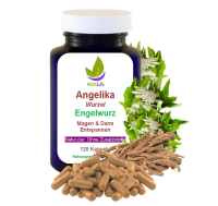 Angelikawurzel ENGELWURZ 120 Kapseln 400mg - MAGEN & DARM entspannen [OHNE ZUSATZSTOFFE]