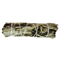 Yerba-Santa Santa-Kraut schamanisches Smudge Bündel 10-12cm zum räuchern.