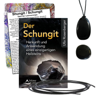 Schungit 6-tlg Set Anhänger mit Taschenstein + Buch (Rosenberger)
