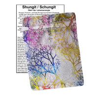 Schungit 6-tlg Set Anhänger mit Taschenstein + Buch (Rosenberger)