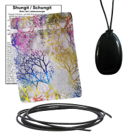 Schungit Shungit Anhänger gebohrt ca. 2,5 x 4cm mit Lederband, Täschchen & Zertifikat