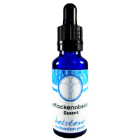 Schneeflockenobsidian Essenz 30ml inkl. Beschreibung
