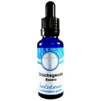 Glücksgeode Kristall Geode Essenz 30ml inkl. Beschreibung