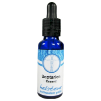 Septarien Essenz 30ml inkl. Beschreibung