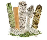 Weißer Salbei zum räuchern 7-tlg Räucher-Set + Palo Santo + Zeder + Yerba-Santa + Booklet + Beschreibung + Täschchen.