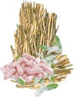 Weidenrinde 120 Kapseln Silberweide Natur Pur ohne Zusatzstoffe