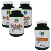 Bockshornklee Fenugreek aktiviert kalt gemahlen 720 Pulver Kapseln