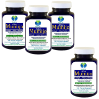 MUMIJO Altai Shilajit 720 Kapseln reines Harz - Fulvinsäure, Antioxidantien, Ayurveda Geheimnis für WORK-LIFE-BALANCE - 100% NATUR pur. OHNE Zusatzstoffe ►3+1 Dose GRATIS Angebot!