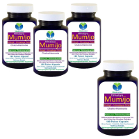 Mumijo 720 (4x180) Kapseln original Shilajit Pulver GOLD des HIMALAYA kein Extrakt, kein Konzentrat, ohne Zusatzstoffe.